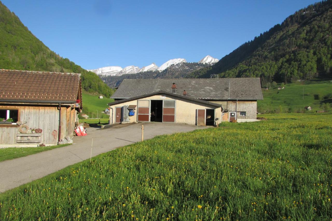 Wies Stein  Exterior foto